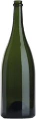 Sparkling wine bottle format 9