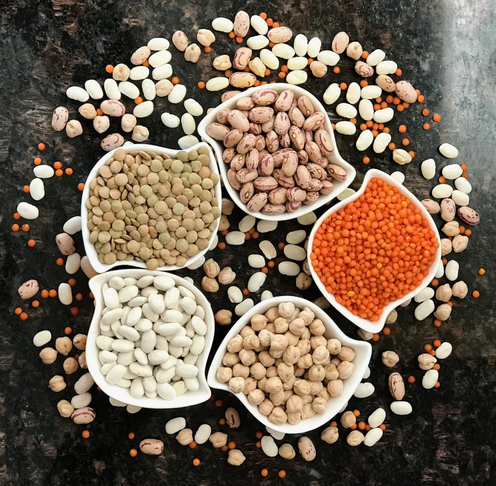 Canned Agro Products